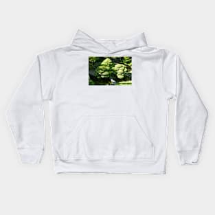 SF Japanese Tea Garden Study 6 Kids Hoodie